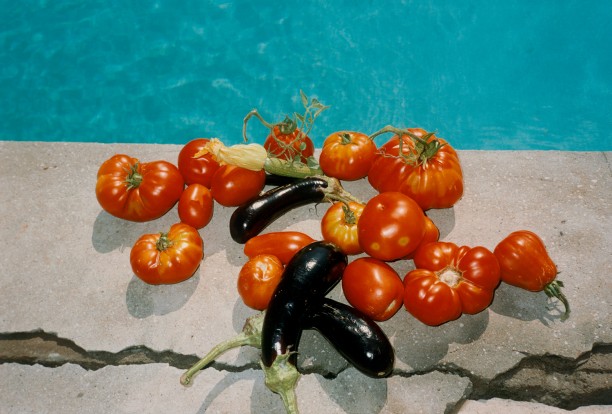Pomodoro