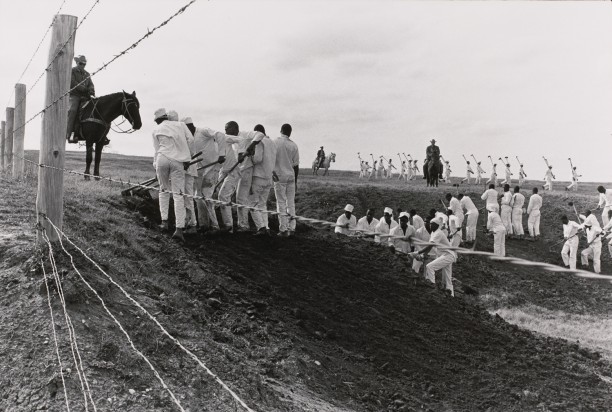 The line