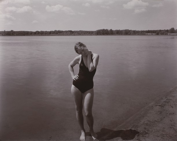 M. Mendon Ponds