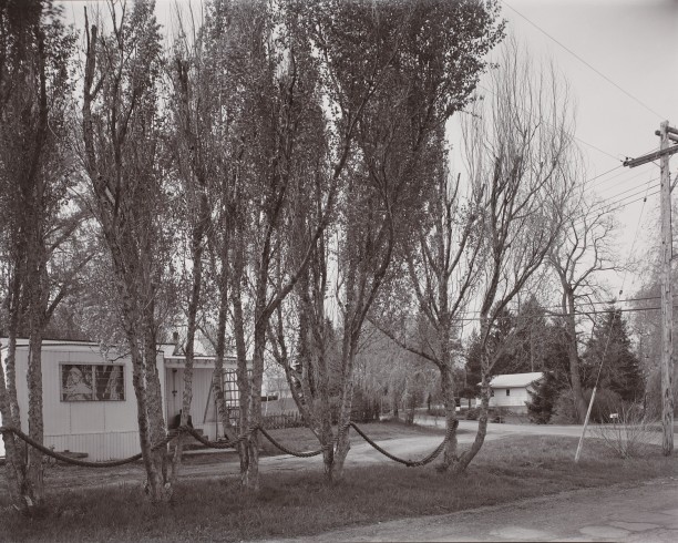 New York Roadside