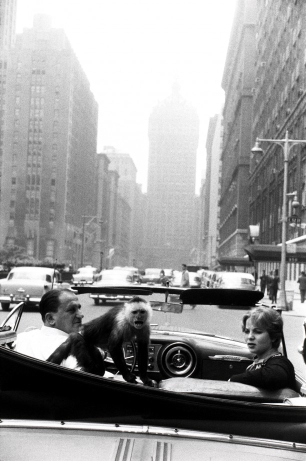 Park Avenue, N.Y.C.