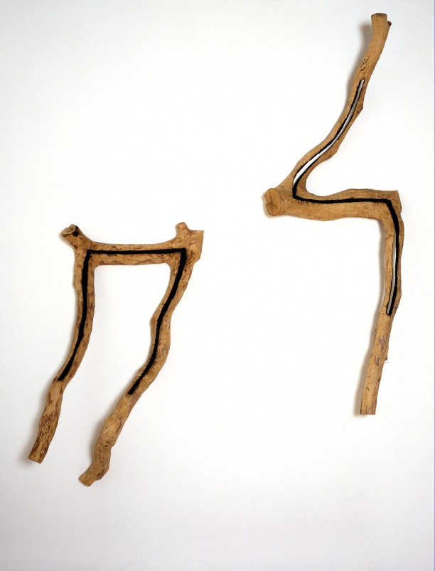 David Nash