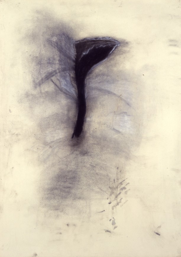 Dark Plants 7