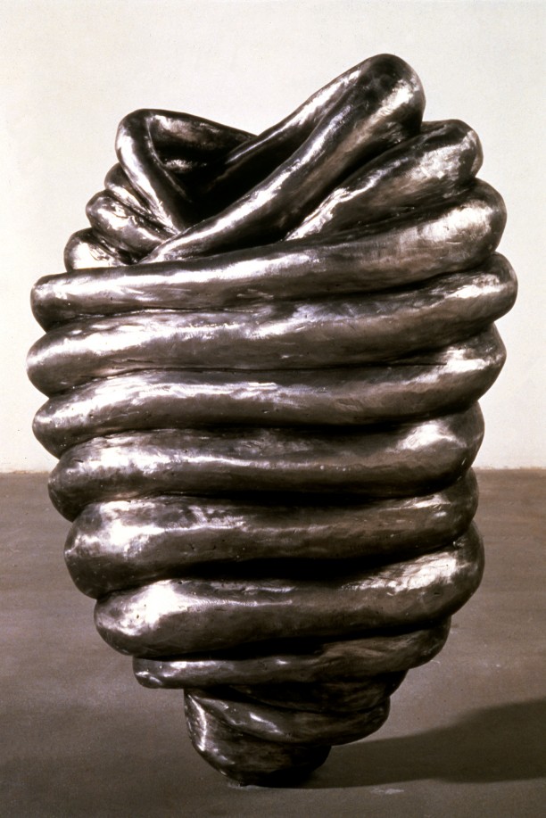 Coil