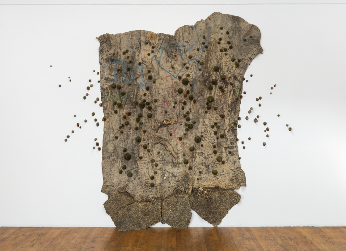 MOCA Focus: Eddie Rodolfo Aparicio