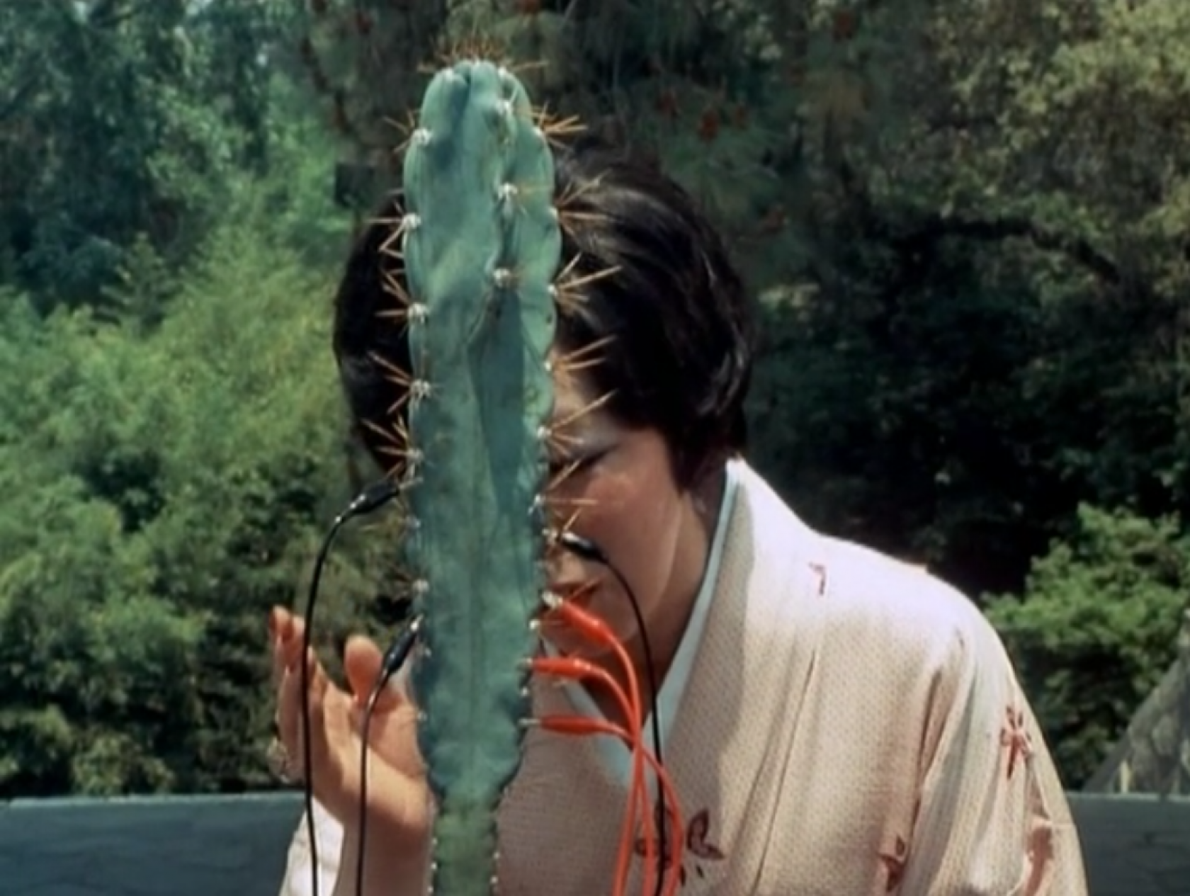 Quantum Listening: The Secret Life of Plants Screening with Nonhuman Teachers