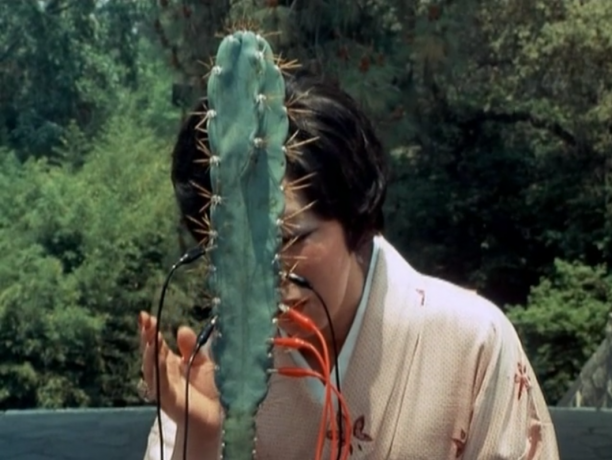 Quantum Listening: The Secret Life of Plants Screening with Nonhuman Teachers