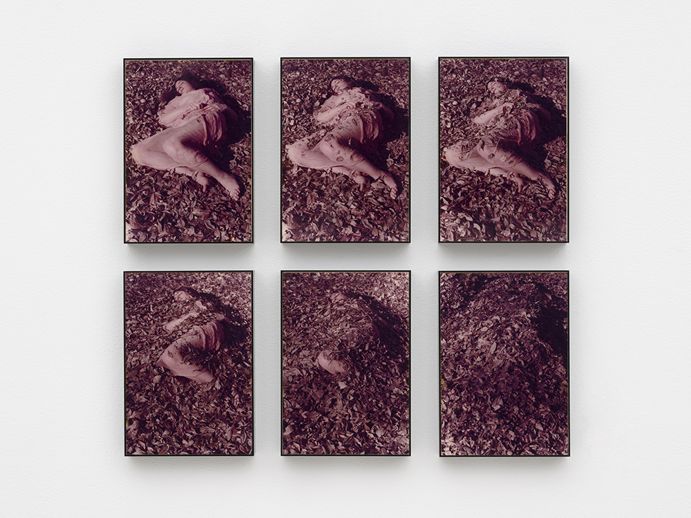 Leaves, A Self Portrait,&nbsp;1973, Nancy Youdelman. Six color photographs in Plexiglas artist's frames. The Museum of Contemporary Art, Los Angeles Gift of Olivia Marciano.